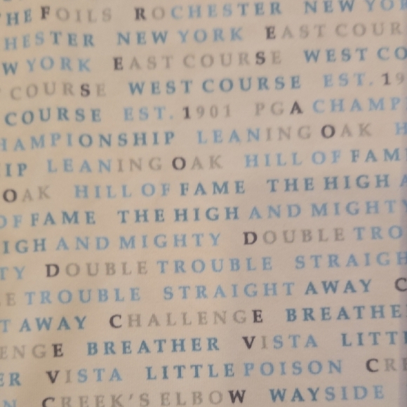 HTF! Horn Legend Bamboo Charcoal Luxury Golf Polo Blue/White Size Large SHOW OFF - Picture 9 of 13